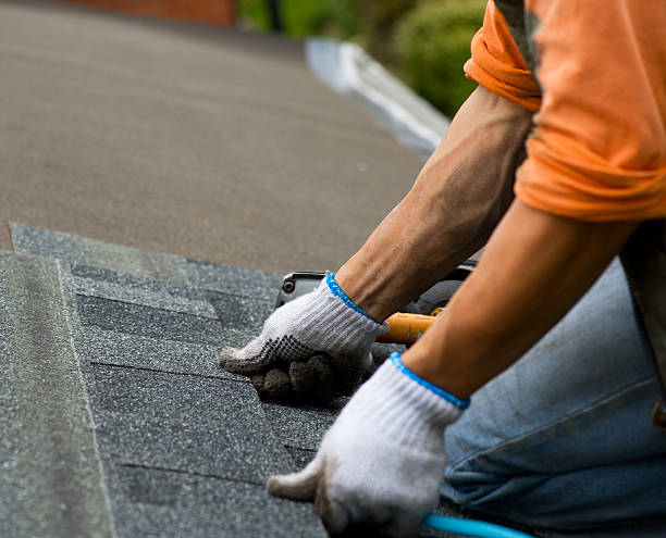 Professional Roofing Contractor in Riverside, UT
